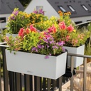 le_balconera_color_add02