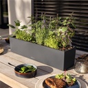 le_balconera_color_add03