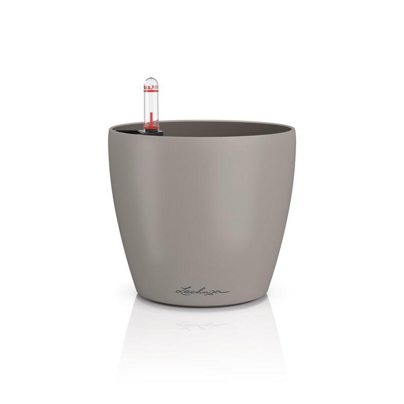 Lechuza CLASSICO Color 14 sandbraun